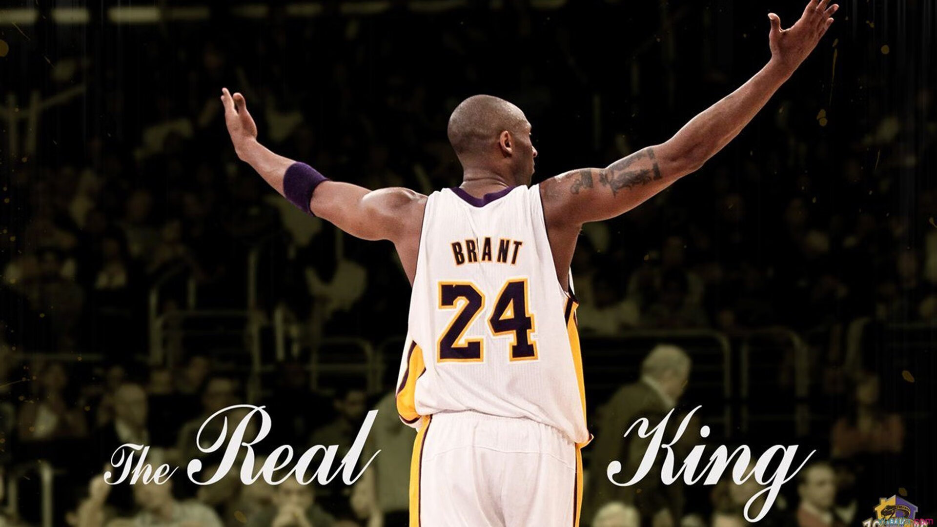 _猛龙队防守严密，成功遏制对手攻势_，猛龙队伍