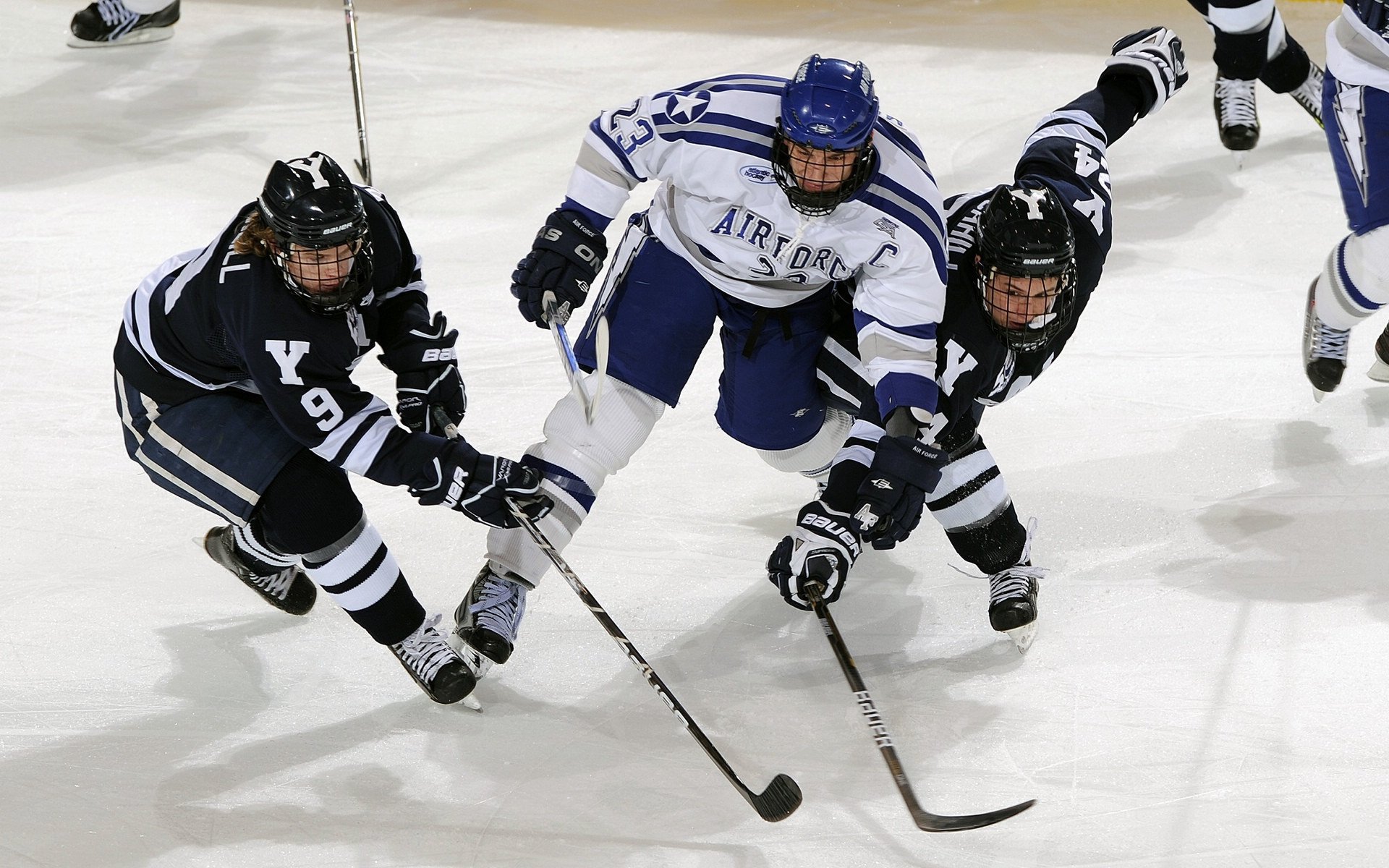 【水手队状态回暖】从连续失利到连胜五场，水手水手
